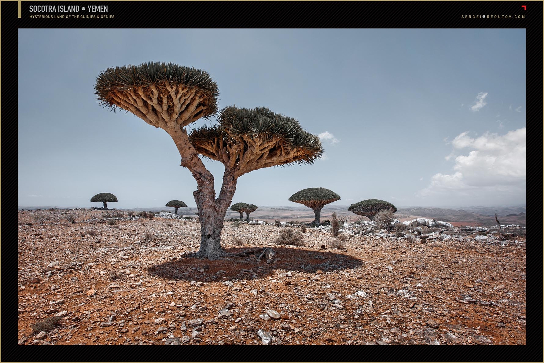 Etosha National Park, Namibia