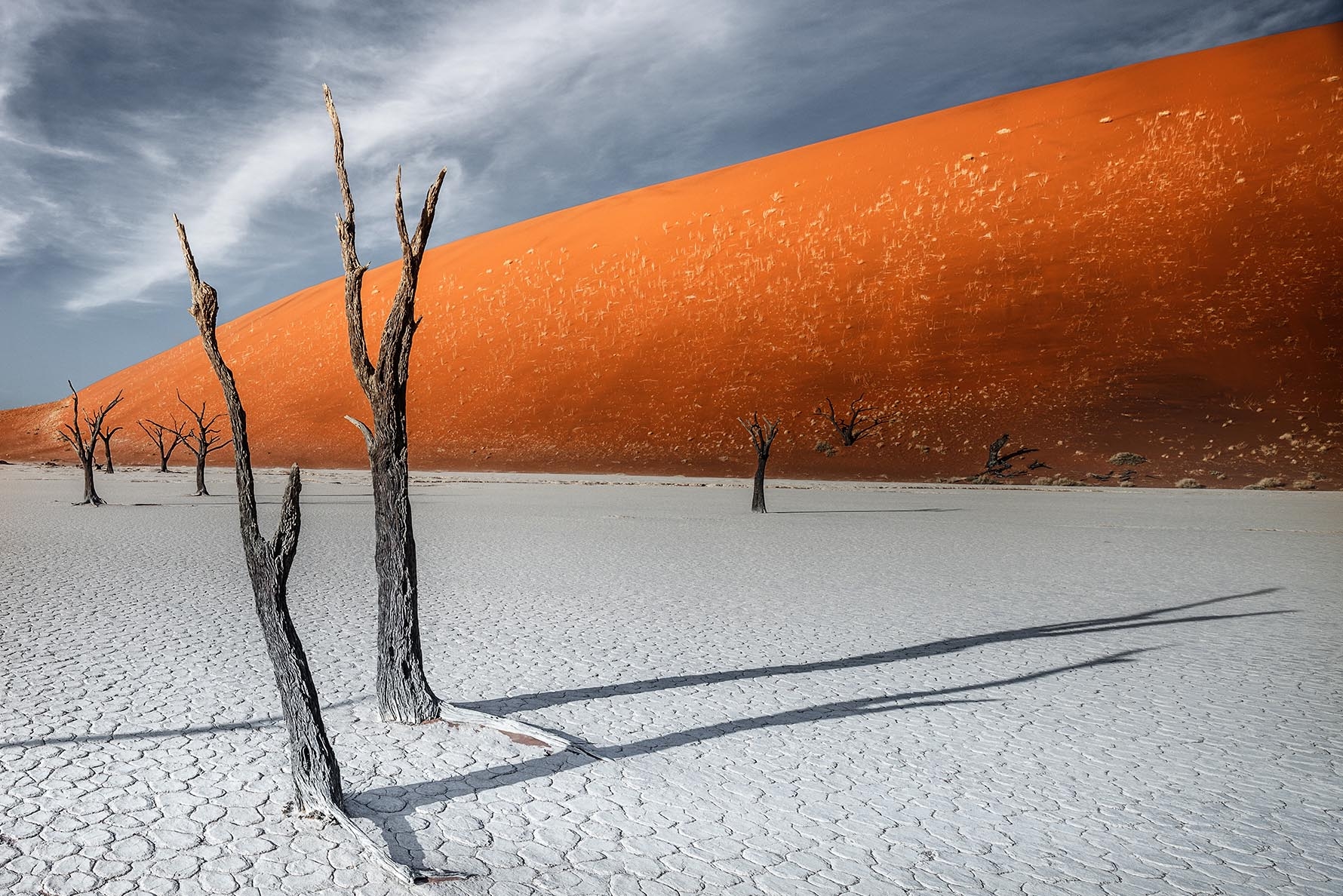 Deadvlei, Sossusvlei Region, Namibia