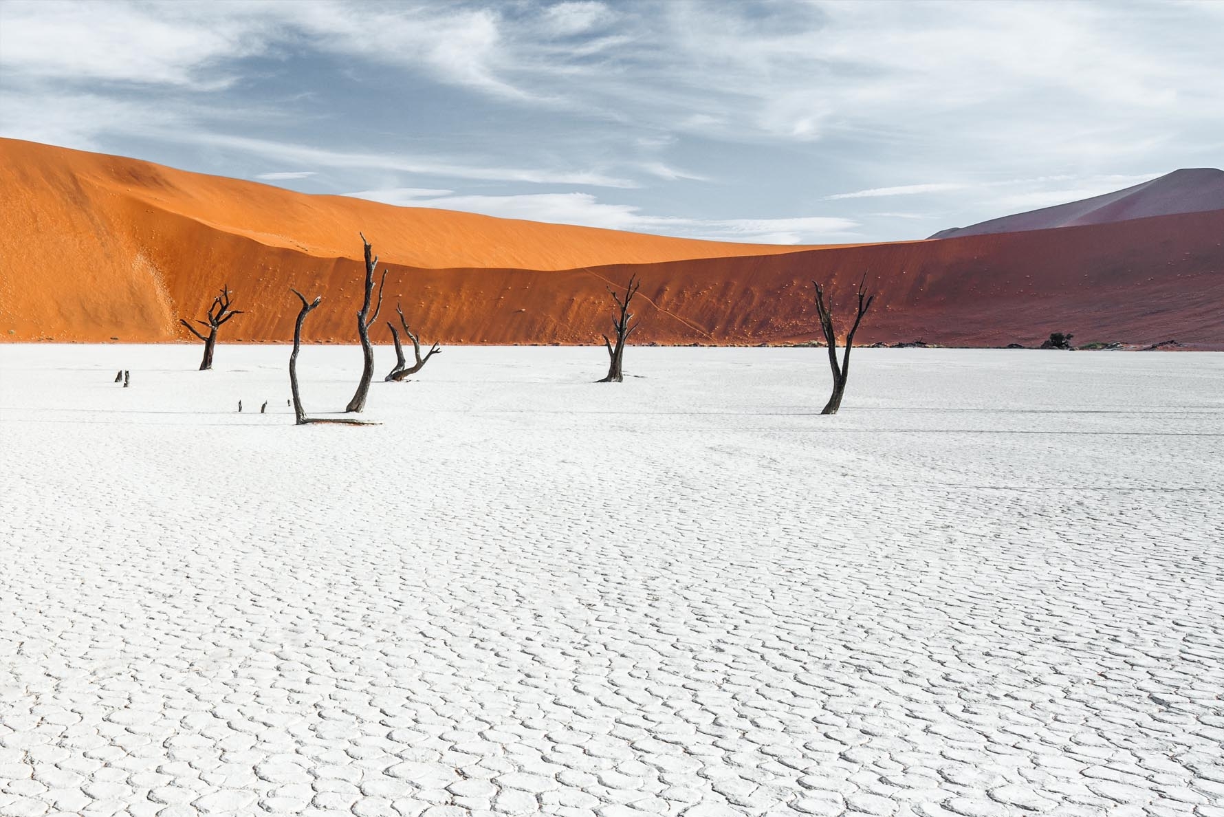 Deadvlei, Sossusvlei Region, Namibia