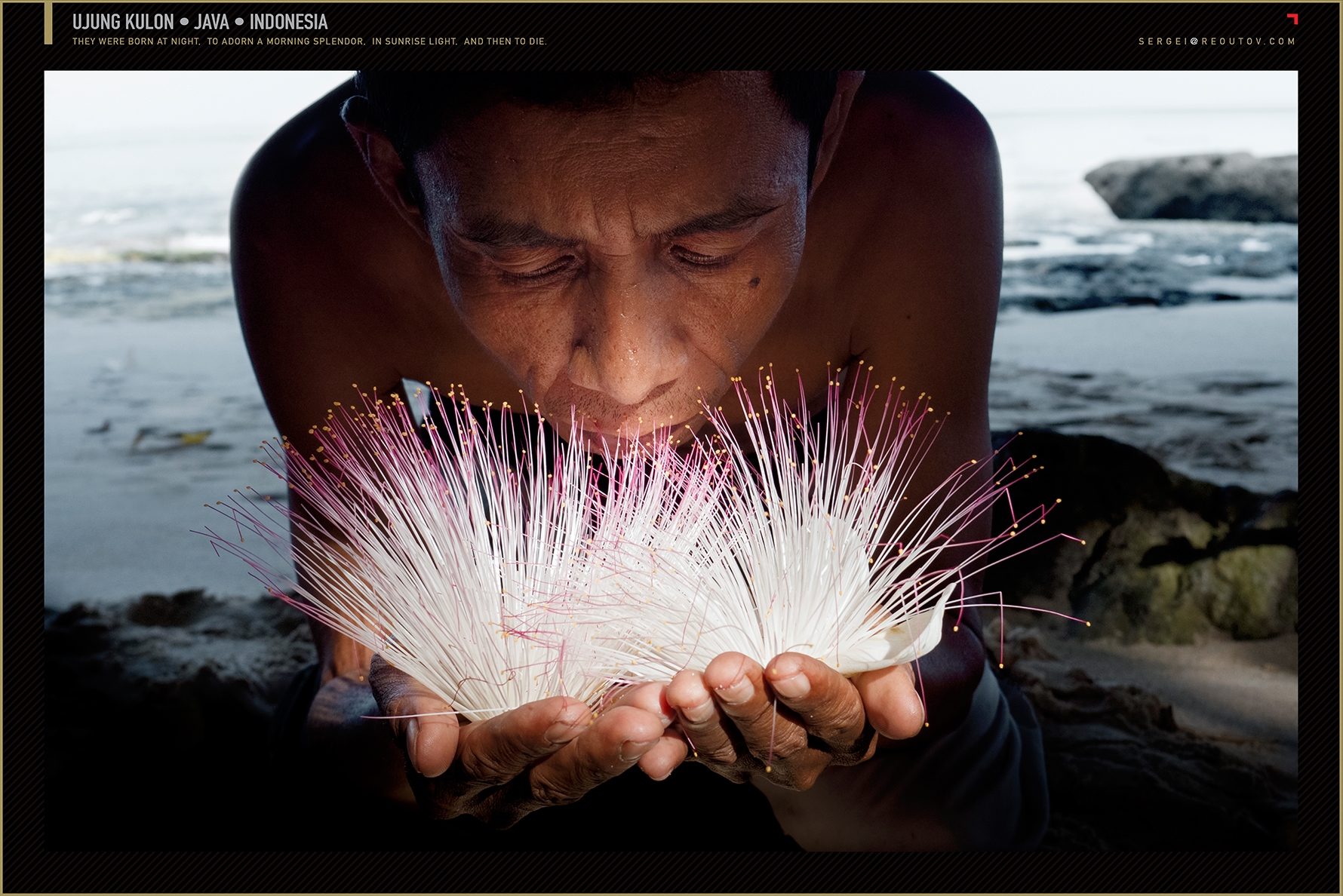 Ujung Kulon National Park, Java, Indonesia