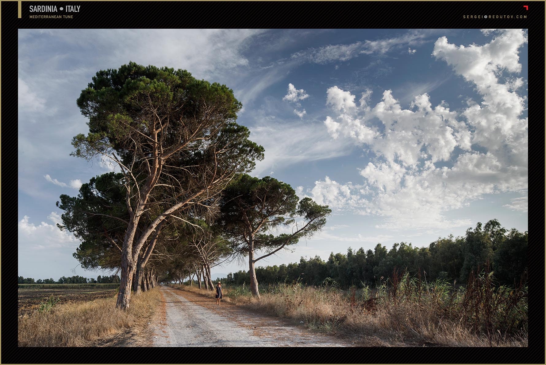 West Sardinia, Pine alley