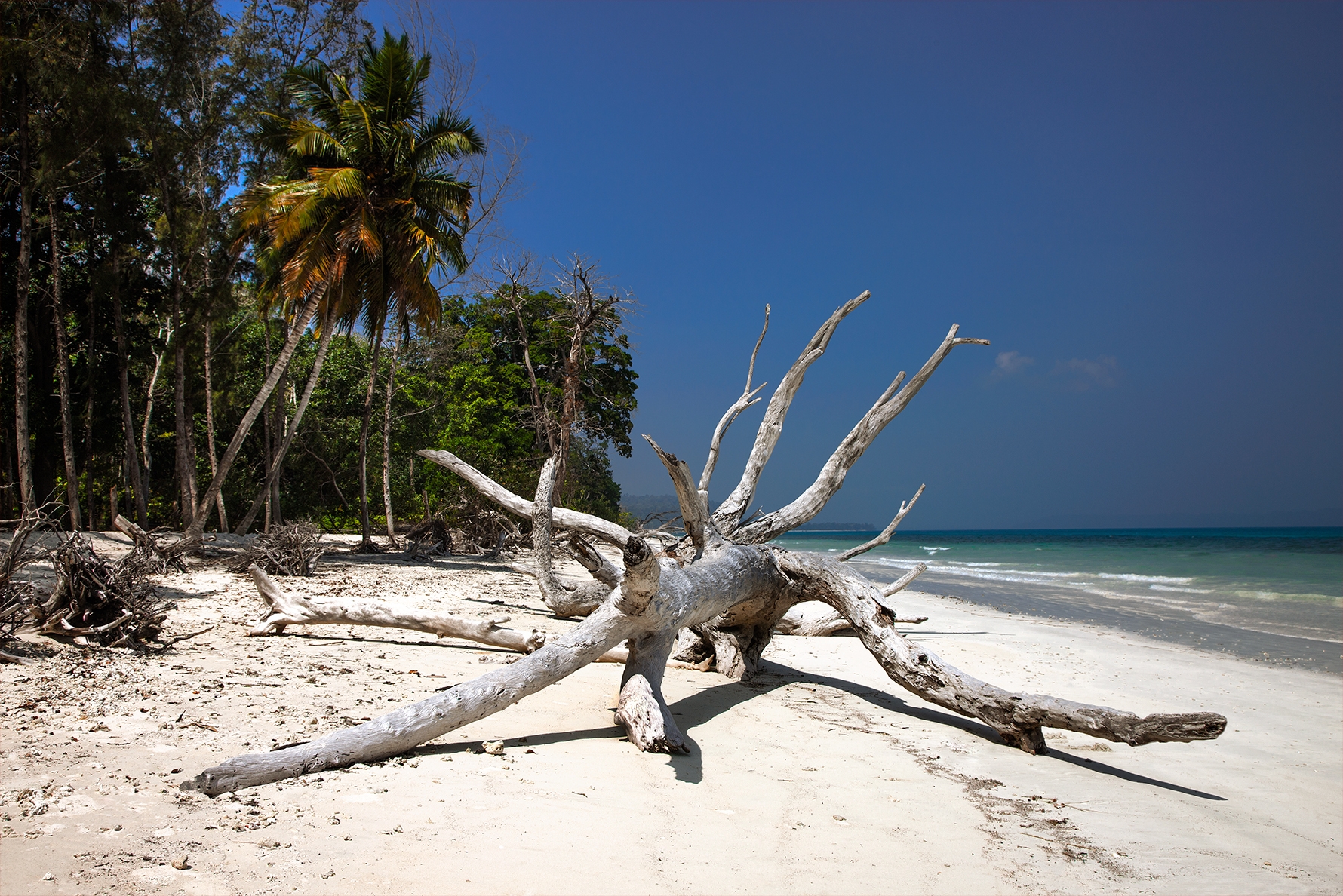 Andaman Islands, Havelock, India