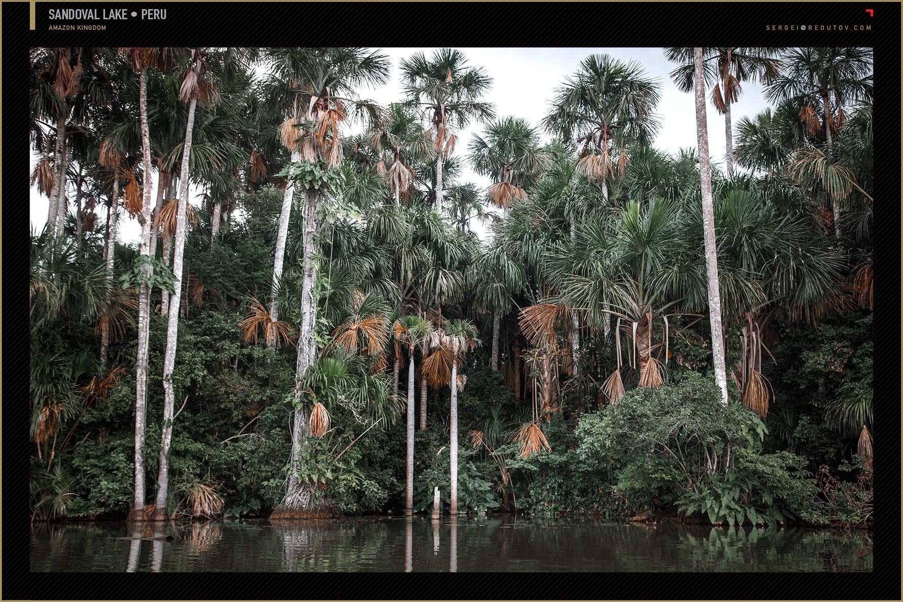 Tambopata Expeditions Macaw Clay Lick