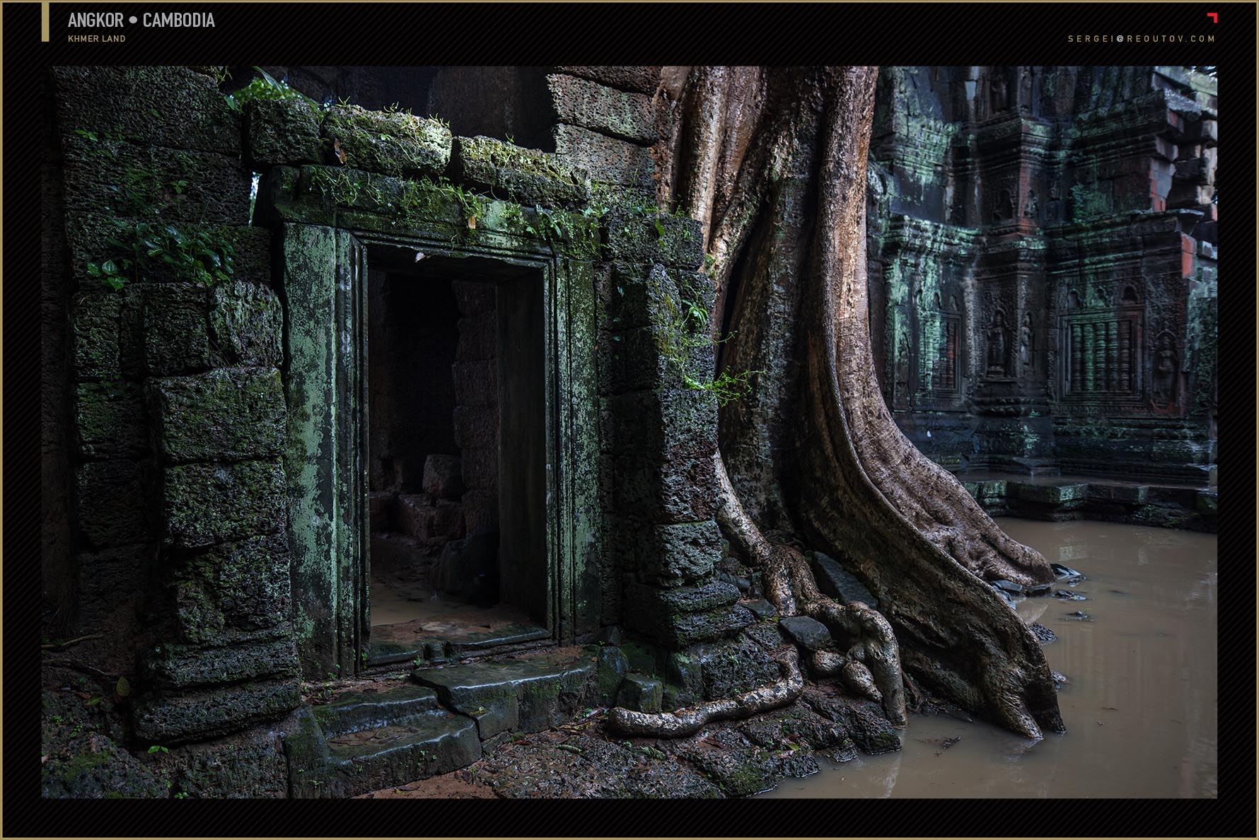 Ta Prohm Temple at Angkor, Siem Reap, Cambodia