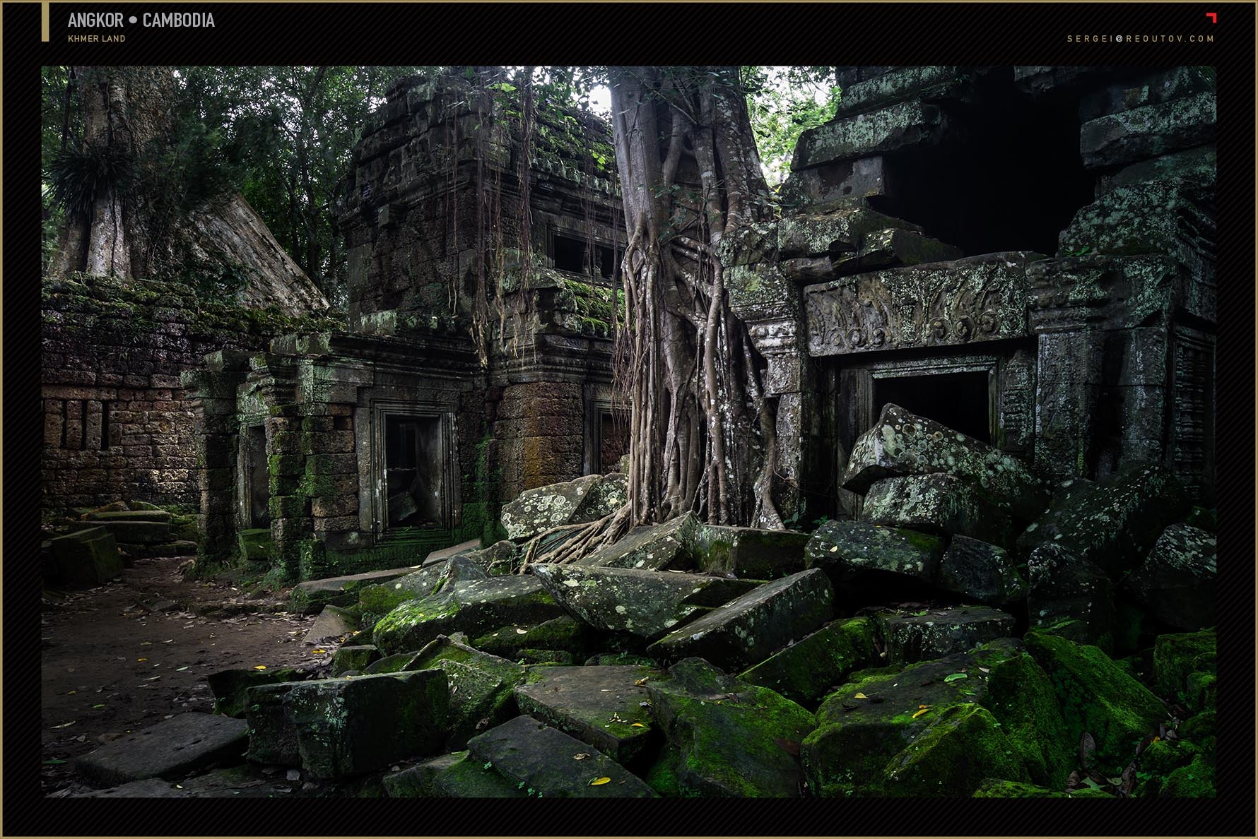 Ta Prohm Temple at Angkor, Siem Reap, Cambodia