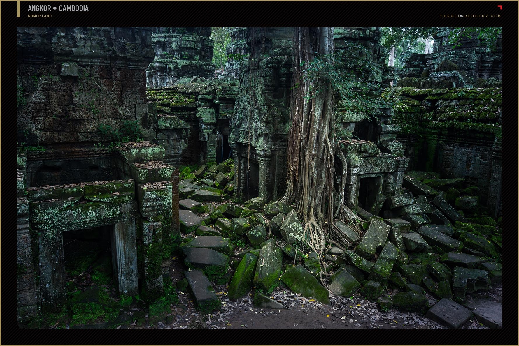 Ta Prohm Temple at Angkor, Siem Reap, Cambodia