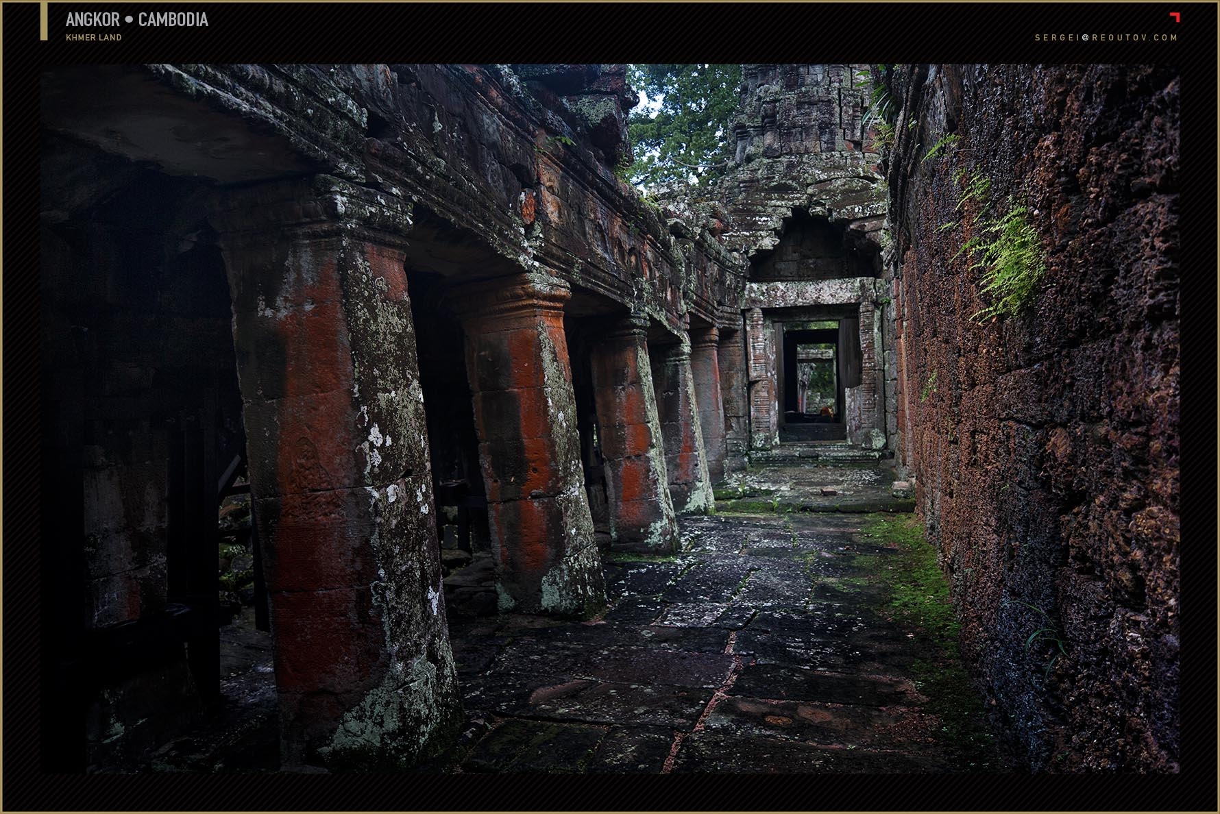 Ta Prohm Temple at Angkor, Siem Reap, Cambodia