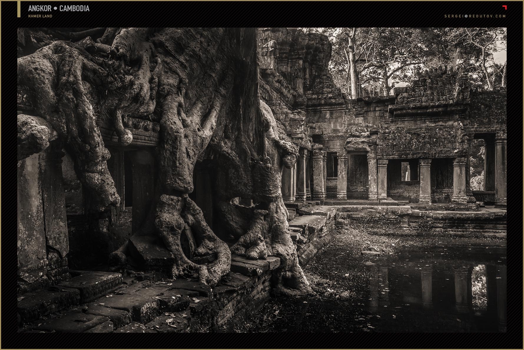 Tree roots with ruins in Cambodia