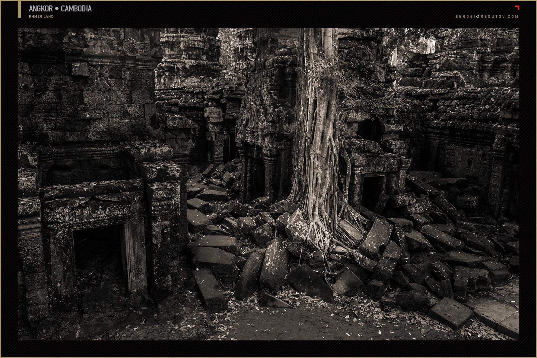 Ta Prohm Temple at Angkor, Siem Reap, Cambodia