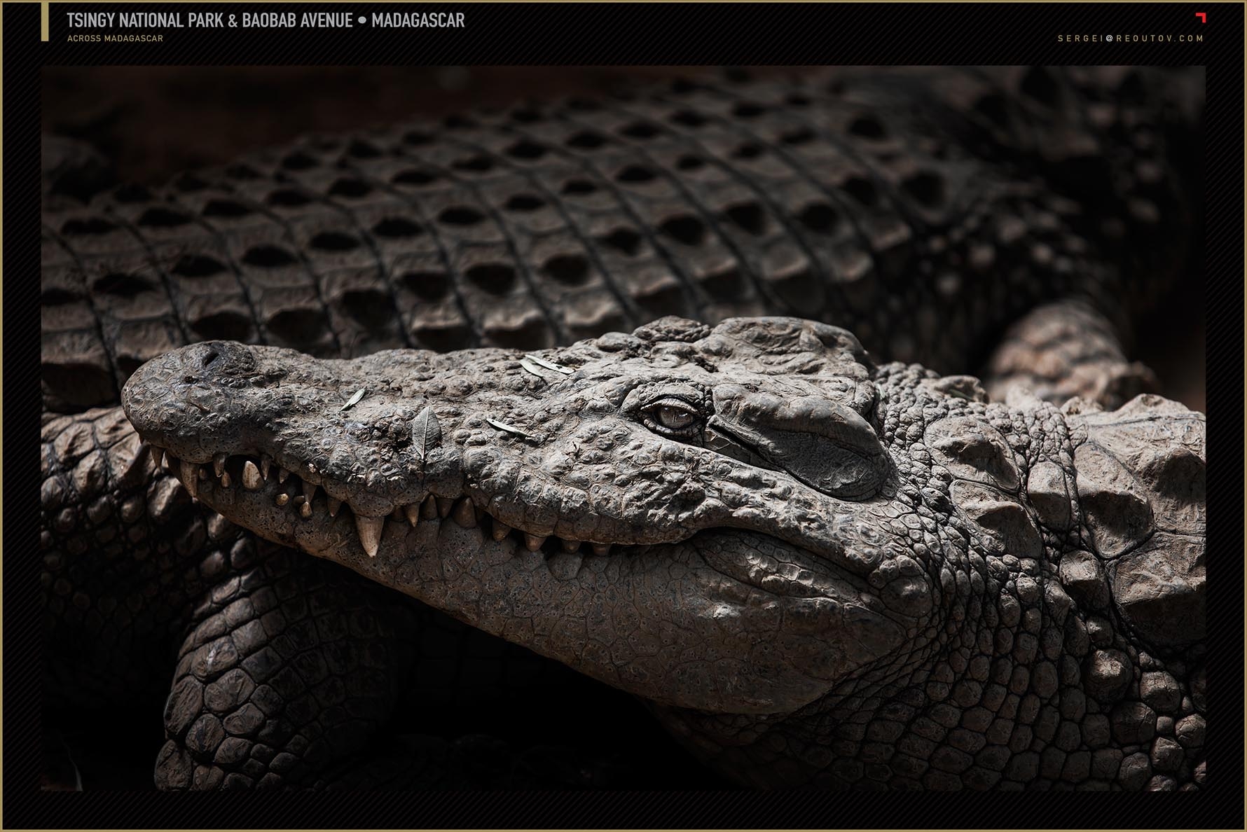 Crocodile farm in Madagascar