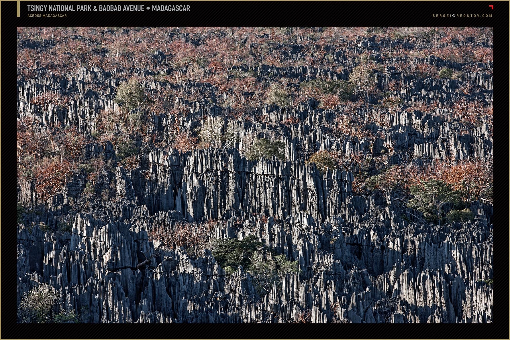 Tsingy de Bemaraha Strict Nature Reserve