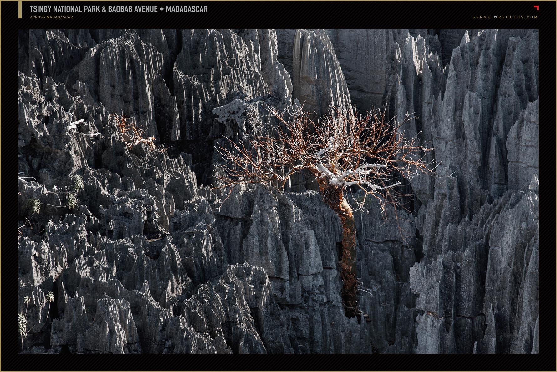 Tsingy de Bemaraha Strict Nature Reserve