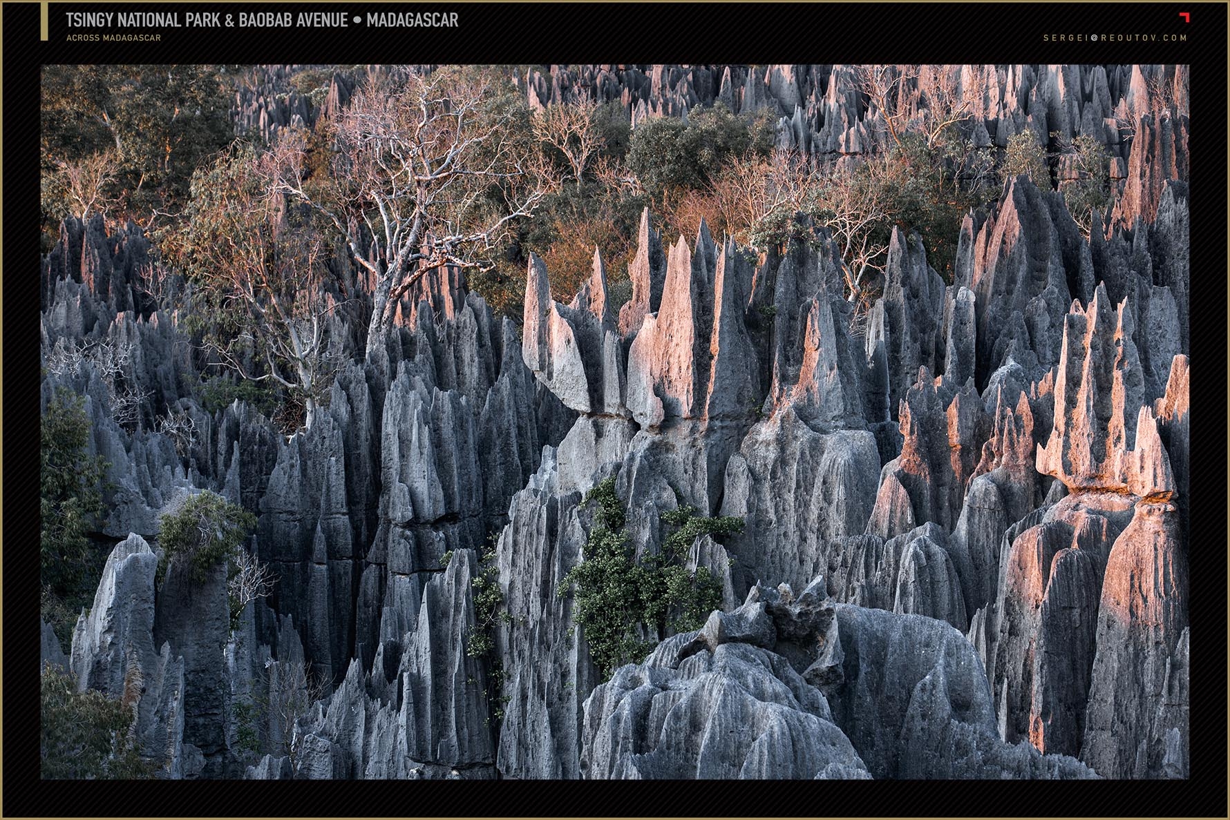 Tsingy de Bemaraha Strict Nature Reserve